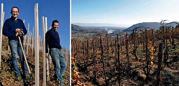 [特價-隆河] 2025.11.19~12.14 Saint