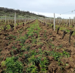 [特價-法國奧維涅] 2025.11.26~12.25 火山