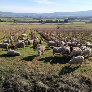 [特價-法國奧維涅] 2025.11.26~12.25 火山