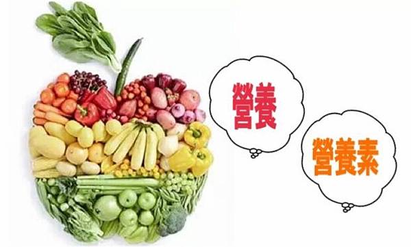 nutrition....JPG nutrition....JPG