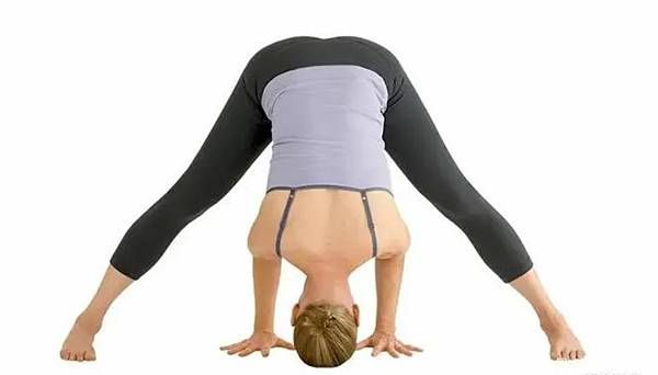 雙角式.JPG 雙角式.JPG