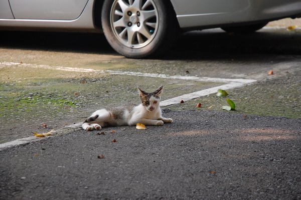 DSC_0629.JPG