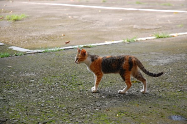 DSC_0642.JPG