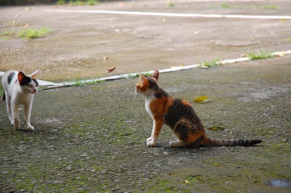 DSC_0644.JPG