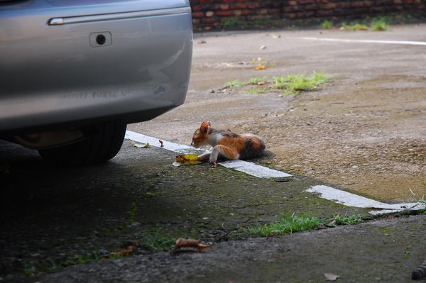 DSC_0682.JPG