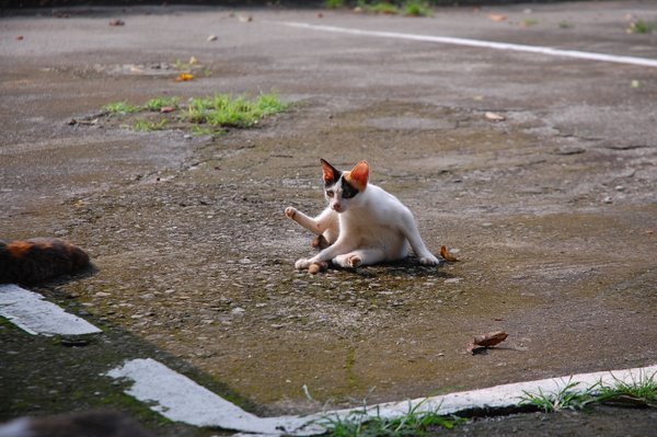 DSC_0689.JPG