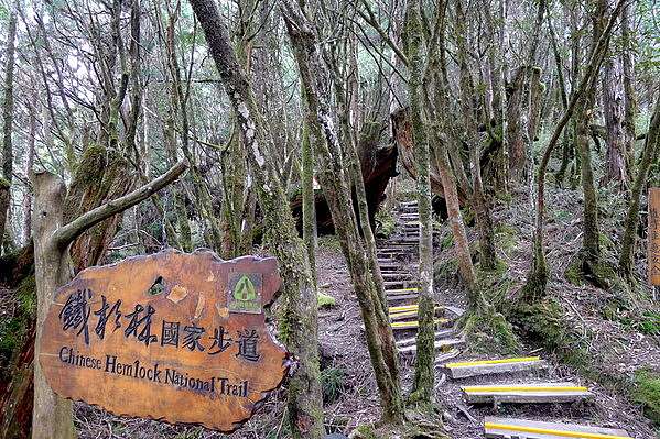 原始林步道 鐵杉林自然步道 L的天馬行空 痞客邦