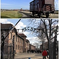 55-Auschwitz-Birkenau Miejsce Pamięci I Muzeum.jpg