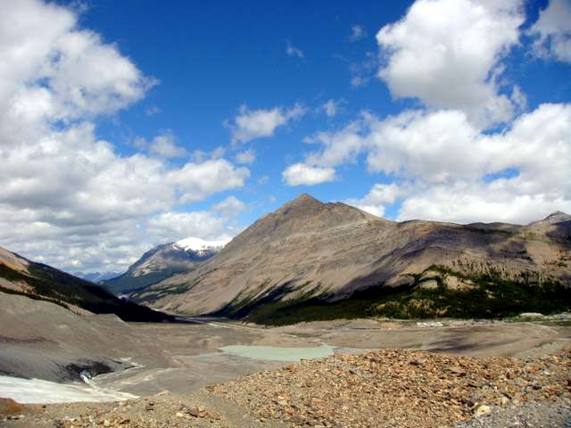 CF005.JPG CF005.JPG