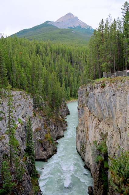 P3007.JPG P3007.JPG