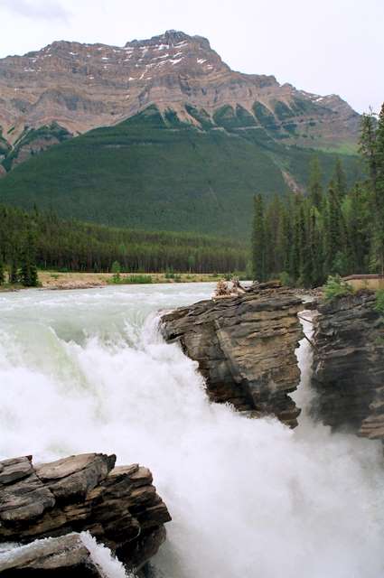 P3009.JPG P3009.JPG