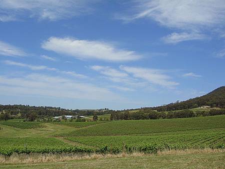 Hunter Valley 045.jpg