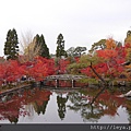 東福寺 (32).JPG