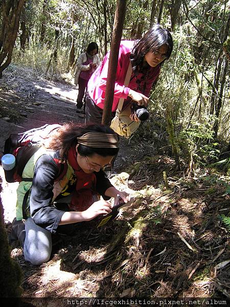 翠峰湖環山步道處處都是驚奇