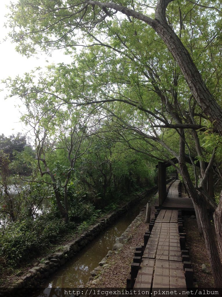 賞鳥步道