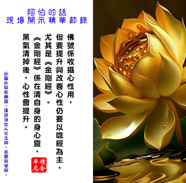 3a2e700fdc71988ecba32ae8e8c5660a.jpg 3a2e700fdc71988ecba32ae8e8c5660a.jpg