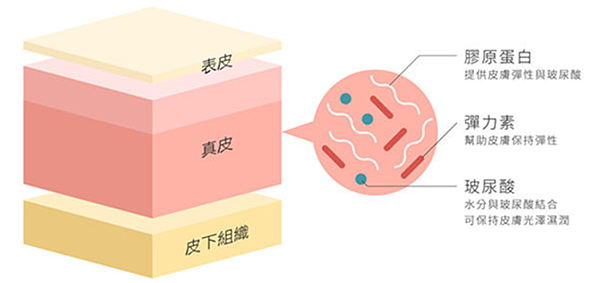 洢蓮絲PCL完美晶球 隱藏年齡又凍齡的秘密