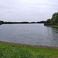 IMG_20201209_082246.jpg