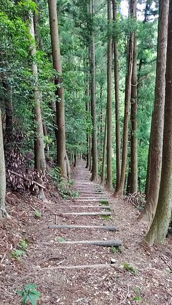 四國遍路第6天　お遍路の宿  みかんの宿→第20番鶴林寺→第