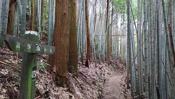 四國遍路第6天　お遍路の宿  みかんの宿→第20番鶴林寺→第