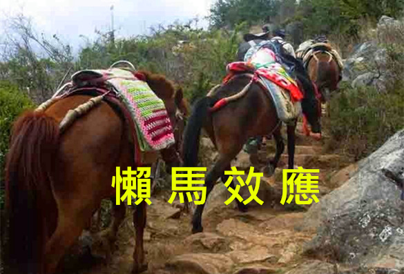 39_20141023081005_fkveo_副本.jpg 39_20141023081005_fkveo_副本.jpg