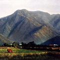 油畫　山前斜陽　油彩、畫布　20P 72.5×53.0cm　1999