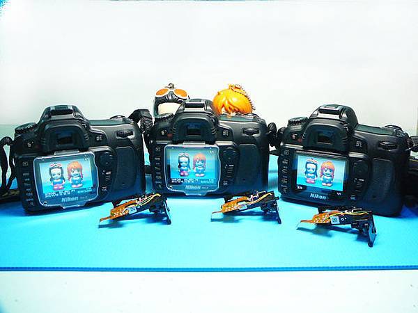 802097248_l 802097248_l