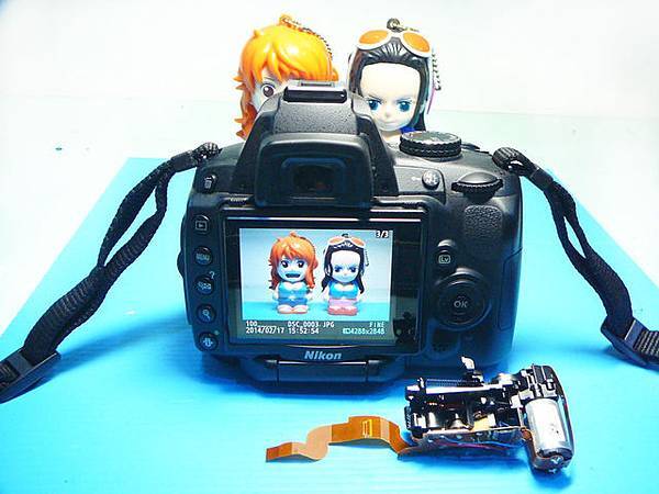 1020396451_l 1020396451_l