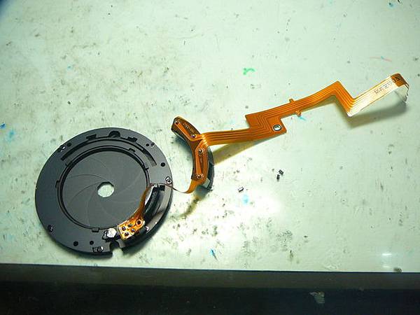 1129159598_l 1129159598_l