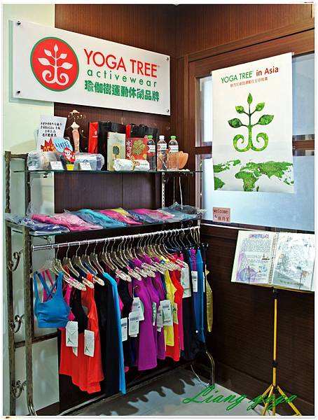 yoga tree 瑜伽樹