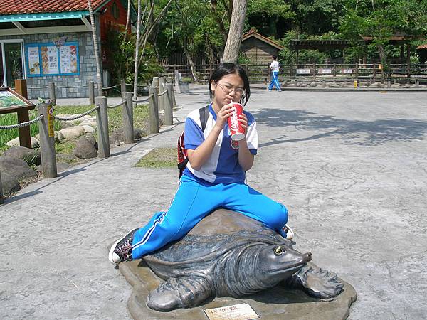 木柵動物園2008May15 (12).jpg