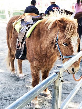 S__9461764.jpg S__9461764.jpg