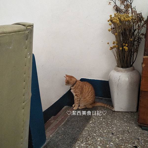 20201121_055253.jpg 20201121_055253.jpg