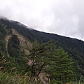 20.1006.07奇萊南峰南華山_201016_15.jpg