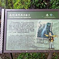 20.1006.07奇萊南峰南華山_201016_16.jpg