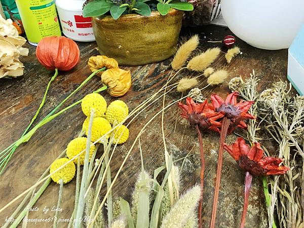 員林 風船葛花坊 Img 1060 Jpg Linan 的相簿 痞客邦 員林 風船葛花坊 Img 1060 Jpg Linan 的相簿 痞客邦