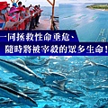 拯救生靈， 戒殺．放生；合天心，順佛令，諸佛歡喜，必賜福報。
