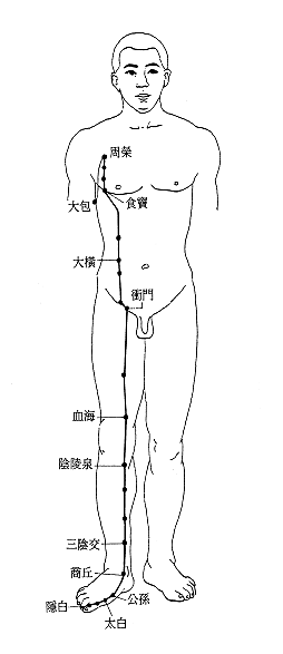 04_足太陰脾經