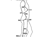 11_足少陽膽經