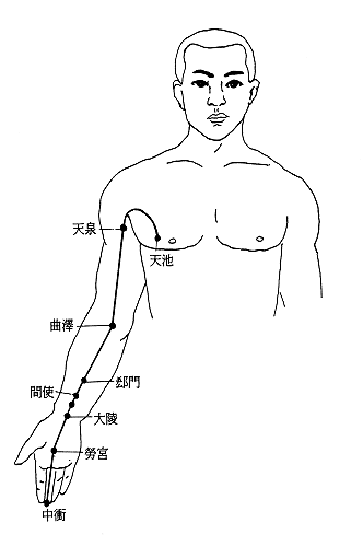 09_手厥陰心包經