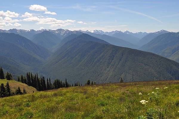 olympic-hurricane ridge