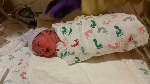 12088033_10103580989555055_4608460548491643447_n