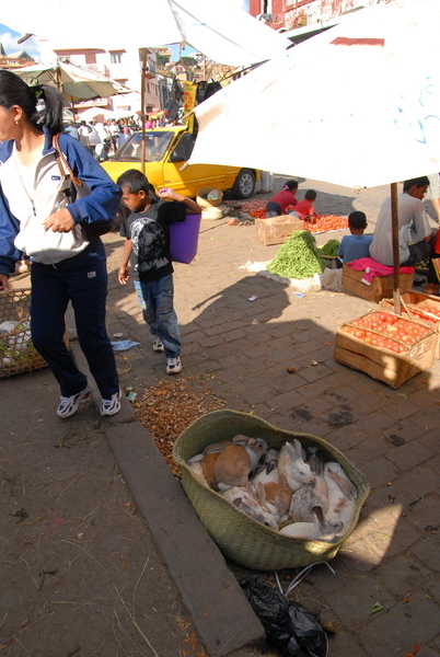 Antananarivo市場什麼都賣