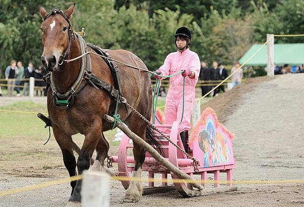 005【銀之匙】劇照_片中出現的輓曳賽馬，是北海道特有的文化賽事，圖為女主角廣瀨愛麗絲.jpg