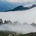 梁國村的風與景-21.jpg