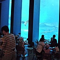 P1020307.JPG