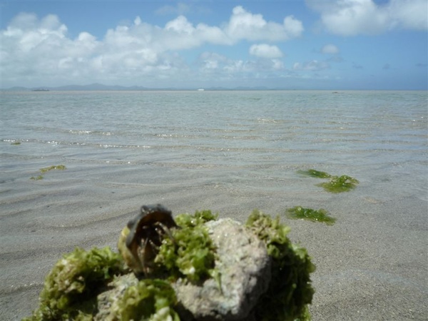 P1020421.JPG