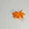 IMG_20210117_150330.jpg