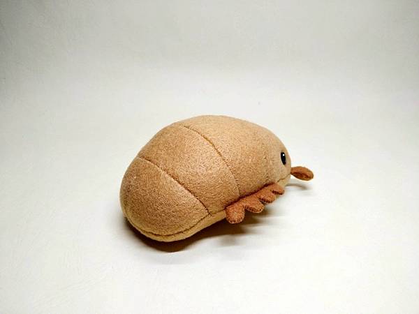 不織布 - 藥丸蟲 + 教學