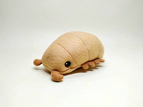 不織布 - 藥丸蟲 + 教學